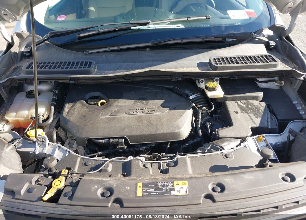 2014 FORD ESCAPE SE VIN: 1FMCU0GX5EUB81337