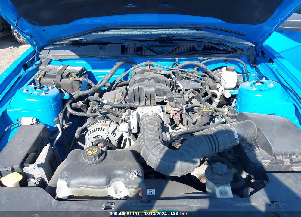2010 FORD MUSTANG V6/V6 PREMIUM VIN: 1ZVBP8EN3A5179420