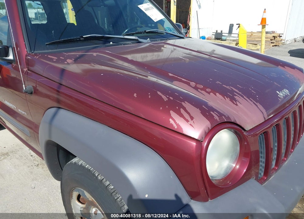 2003 JEEP LIBERTY VIN: 1J4GL48K03W691416
