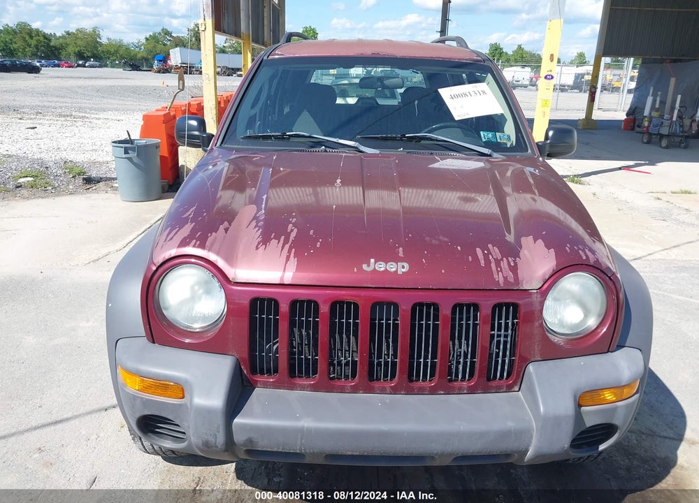 2003 JEEP LIBERTY VIN: 1J4GL48K03W691416