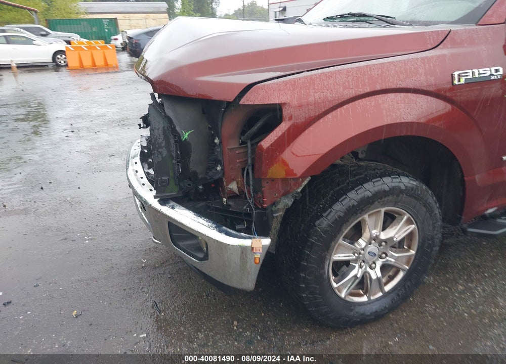 2016 FORD F-150 XLT VIN: 1FTEW1EGXGFB94950