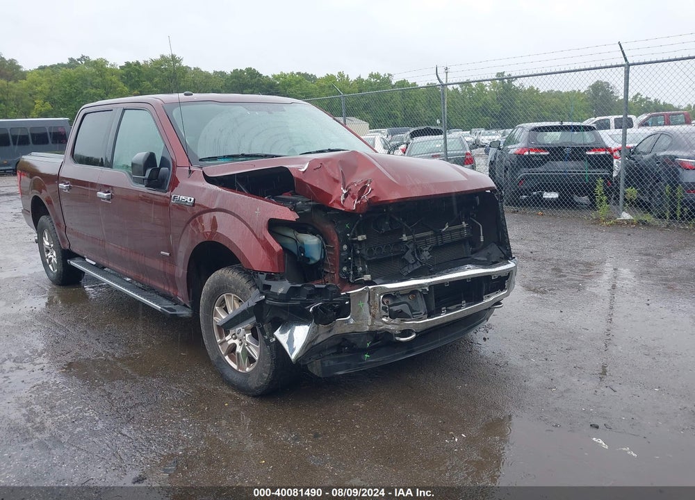 2016 FORD F-150 XLT VIN: 1FTEW1EGXGFB94950