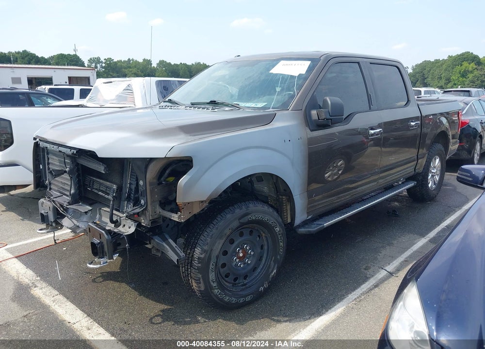 2015 FORD F-150 XLT VIN: 1FTEW1EF1FFC25556