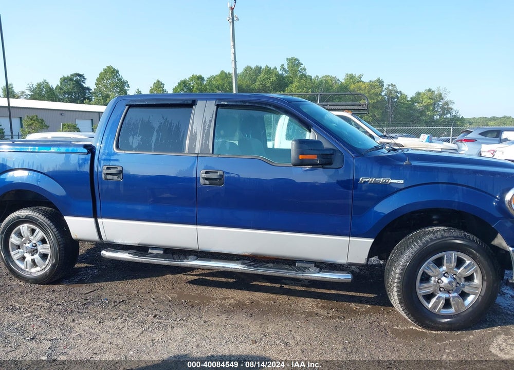 2010 FORD F-150 XL/XLT VIN: 1FTEW1E83AFA51645