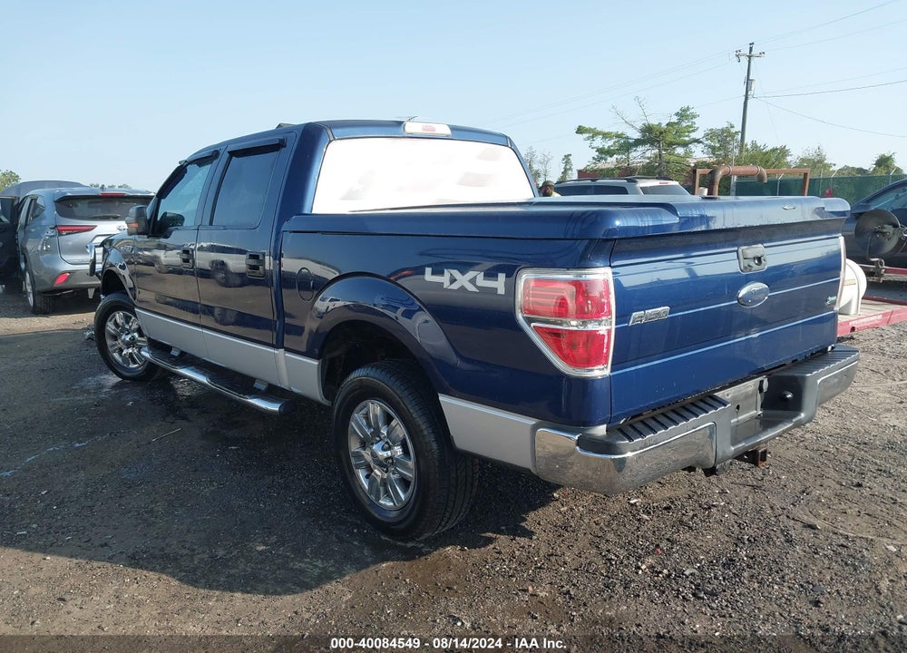 2010 FORD F-150 XL/XLT VIN: 1FTEW1E83AFA51645