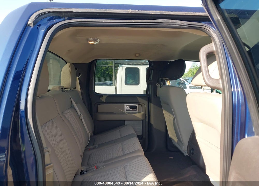 2010 FORD F-150 XL/XLT VIN: 1FTEW1E83AFA51645