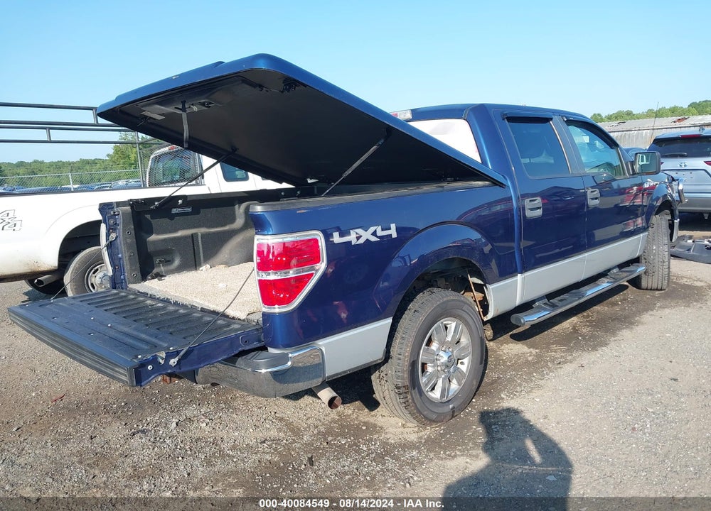 2010 FORD F-150 XL/XLT VIN: 1FTEW1E83AFA51645