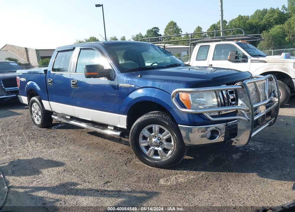 2010 FORD F-150 XL/XLT VIN: 1FTEW1E83AFA51645