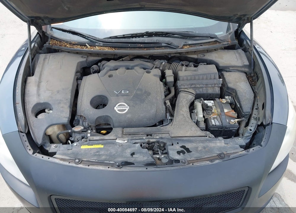 2009 NISSAN MAXIMA VIN: 1N4AA51E69C824420