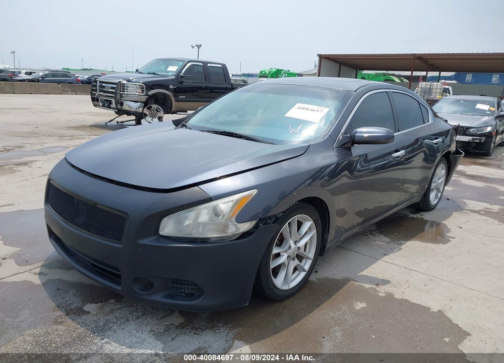 2009 NISSAN MAXIMA VIN: 1N4AA51E69C824420