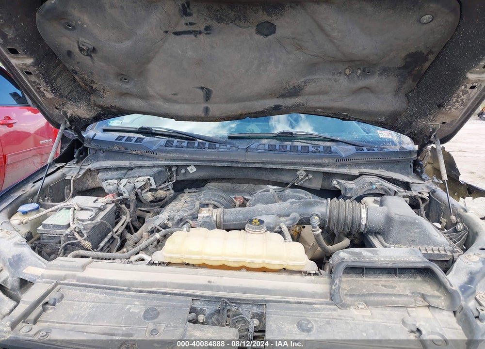 2019 FORD F-150 XLT VIN: 1FTMF1EB1KKD32522