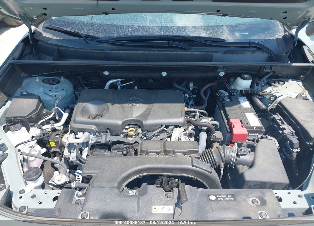 2021 TOYOTA RAV4 XLE VIN: 2T3W1RFV7MW162188