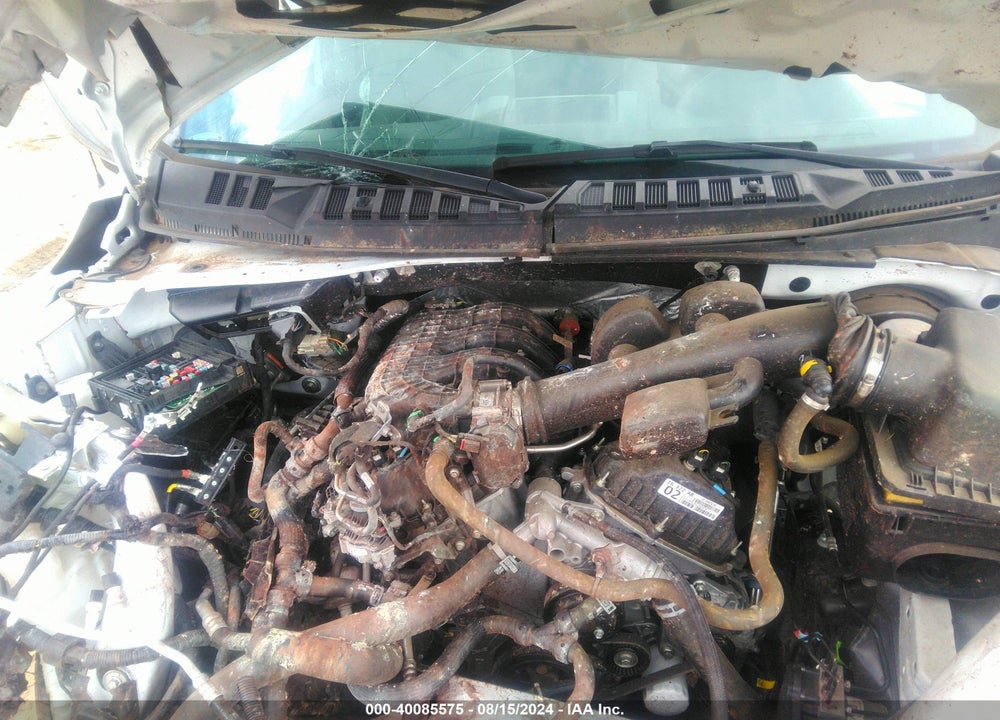 2019 FORD F-150 XL VIN: 1FTMF1CB5KKD79393