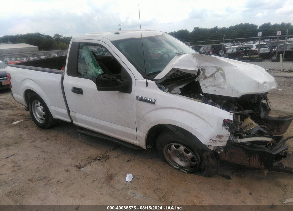 2019 FORD F-150 XL VIN: 1FTMF1CB5KKD79393