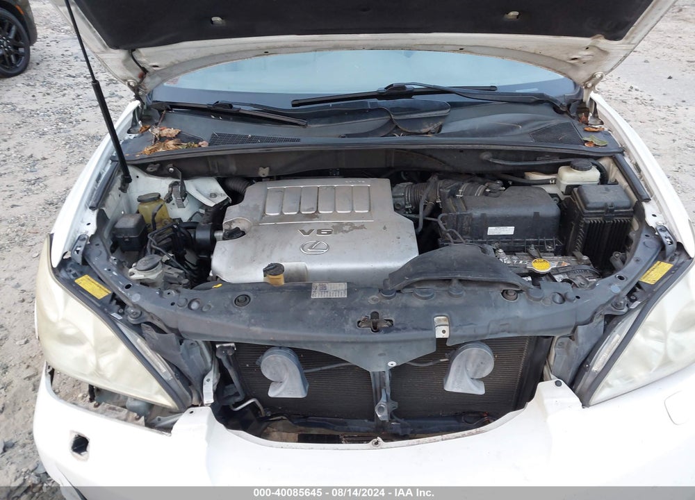 2007 LEXUS RX 350 VIN: 2T2GK31U47C004446