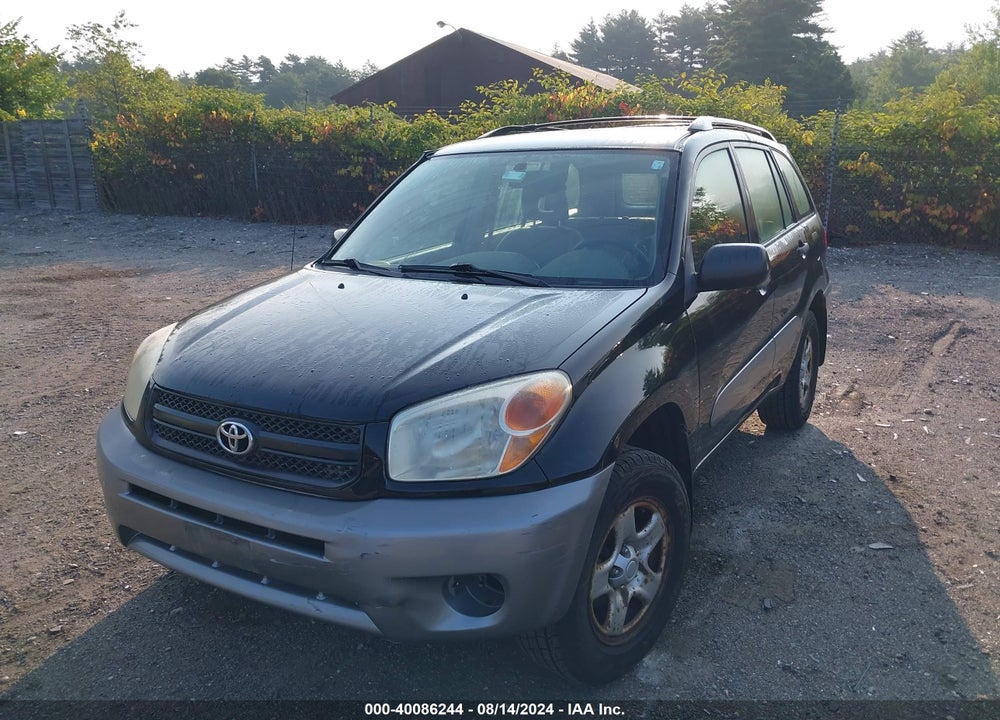 2004 TOYOTA RAV4 VIN: JTEHD20V246008601