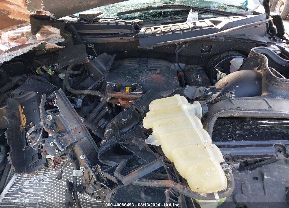 2020 FORD F-150 VIN: 1FTMF1C50LFC55620