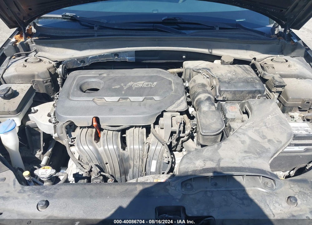 2016 KIA OPTIMA VIN: 5XXGT4L31GG052801