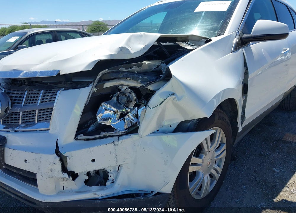2010 CADILLAC SRX LUXURY COLLECTION VIN: 3GYFNAEY0AS629794