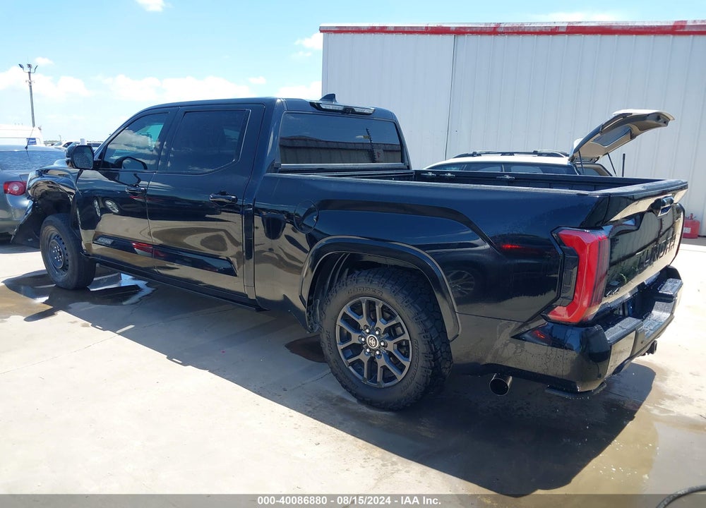 2022 TOYOTA TUNDRA PLATINUM VIN: 5TFNA5EC1NX003250
