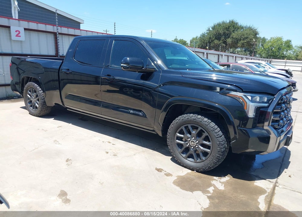 2022 TOYOTA TUNDRA PLATINUM VIN: 5TFNA5EC1NX003250