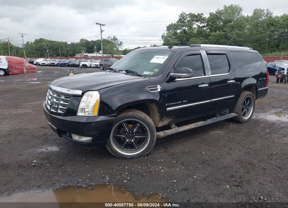 2007 CADILLAC ESCALADE ESV STANDARD VIN: 1GYFK66897R304660