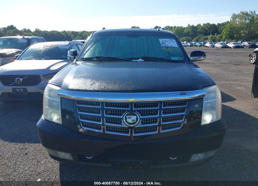 2007 CADILLAC ESCALADE ESV STANDARD VIN: 1GYFK66897R304660