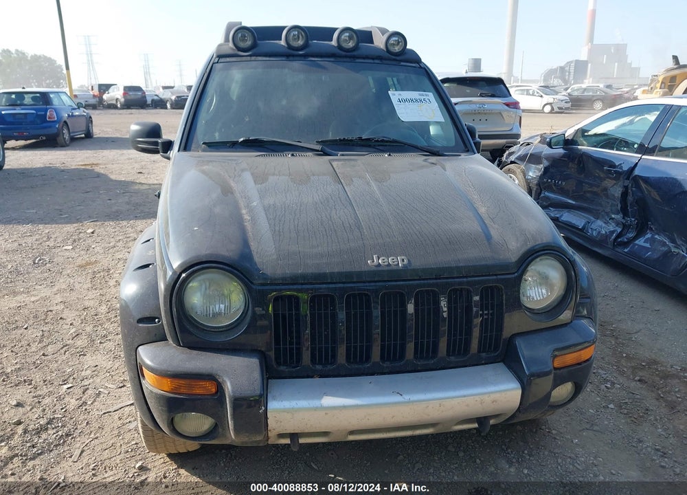2003 JEEP LIBERTY RENEGADE VIN: 1J4GL38K83W567095