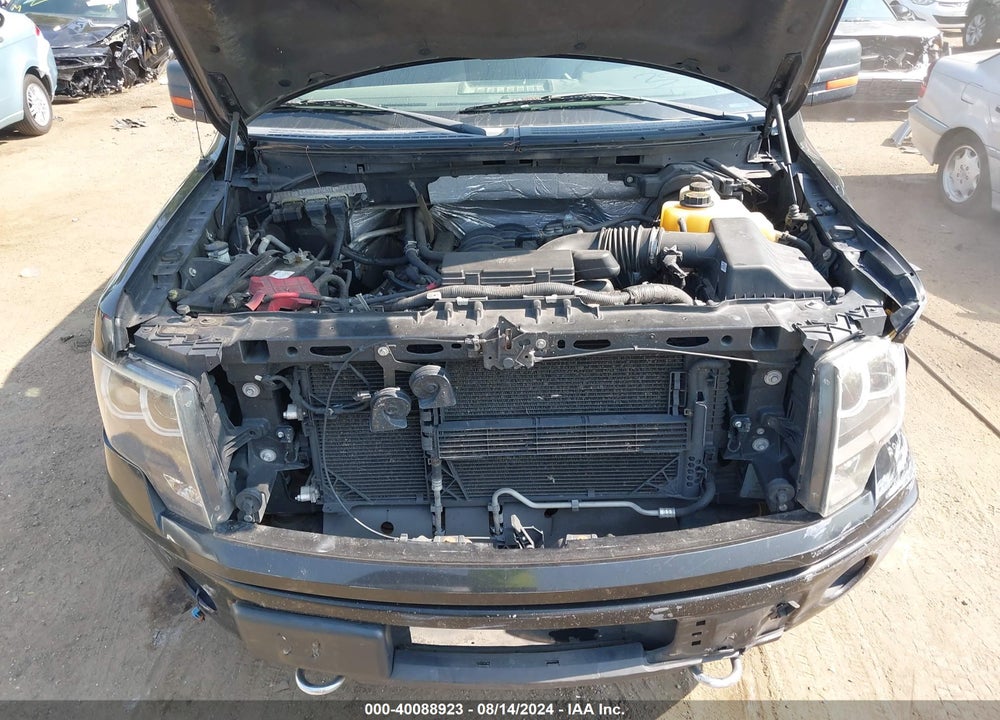 2014 FORD F-150 XLT VIN: 1FTFW1EF4EFB38446