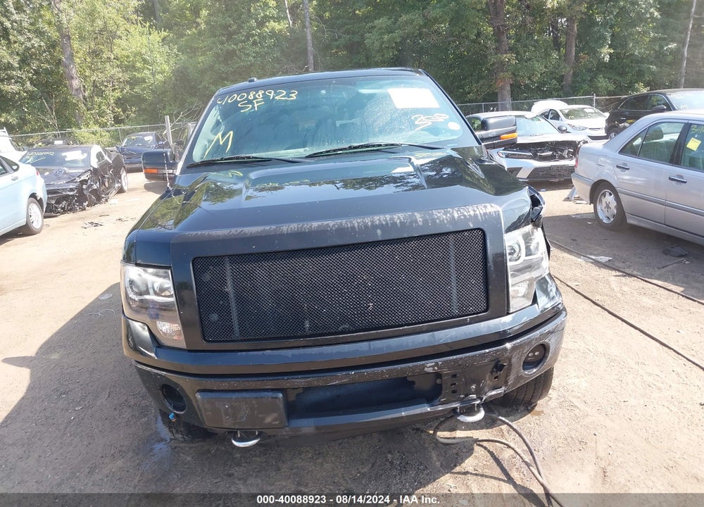 2014 FORD F-150 XLT VIN: 1FTFW1EF4EFB38446
