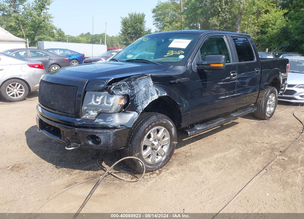 2014 FORD F-150 XLT VIN: 1FTFW1EF4EFB38446