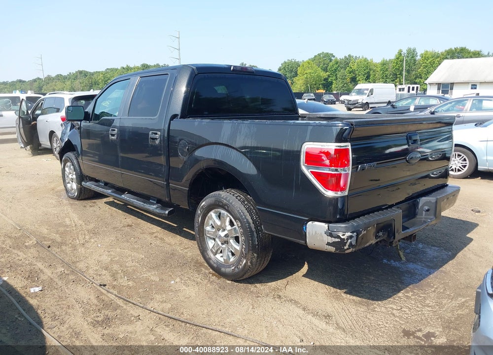 2014 FORD F-150 XLT VIN: 1FTFW1EF4EFB38446