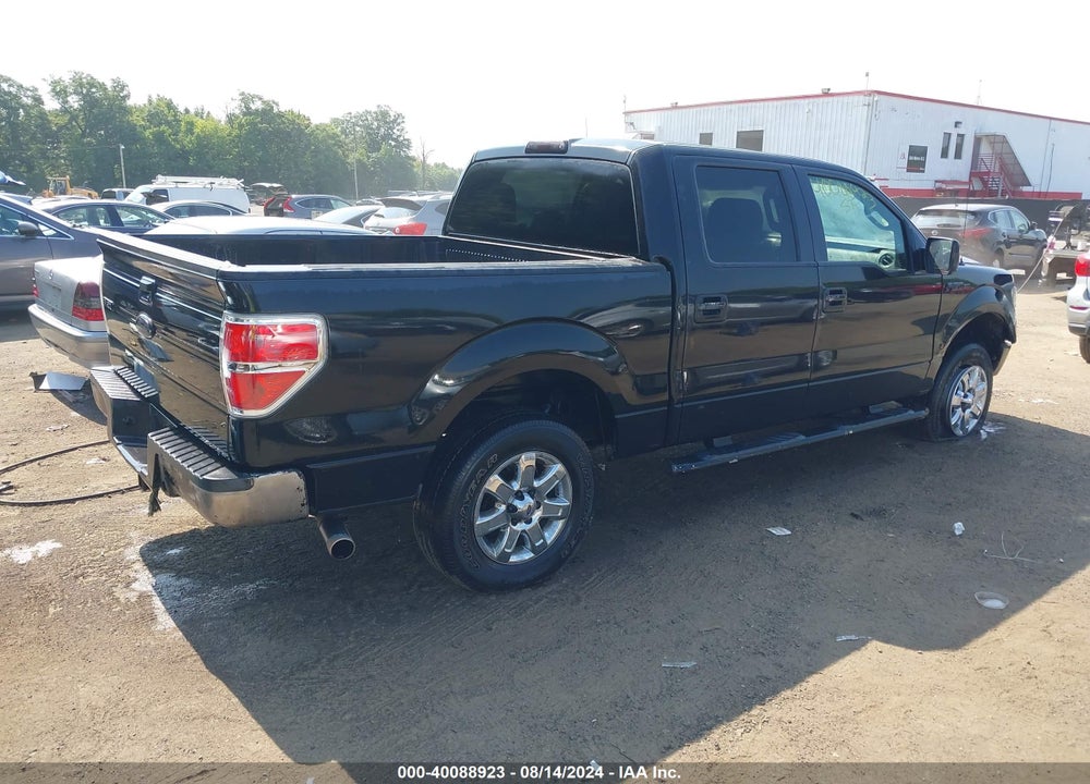 2014 FORD F-150 XLT VIN: 1FTFW1EF4EFB38446