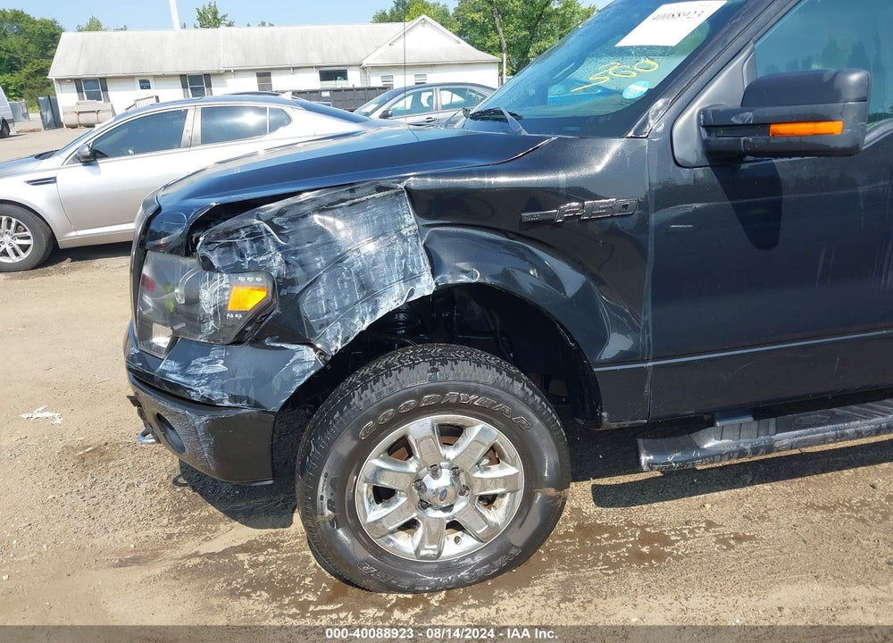 2014 FORD F-150 XLT VIN: 1FTFW1EF4EFB38446