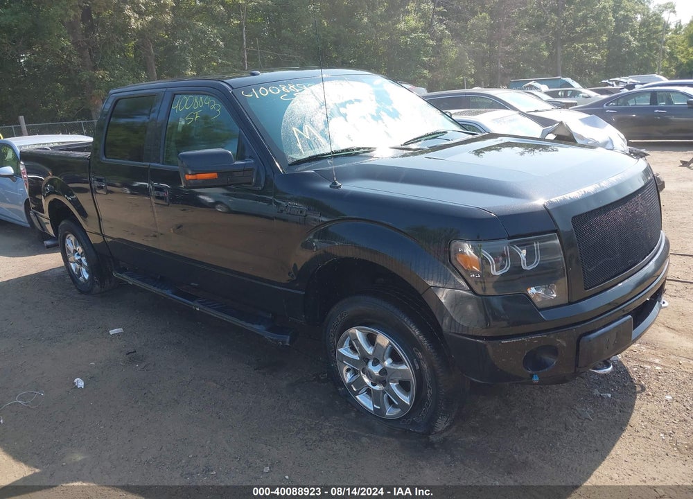 2014 FORD F-150 XLT VIN: 1FTFW1EF4EFB38446