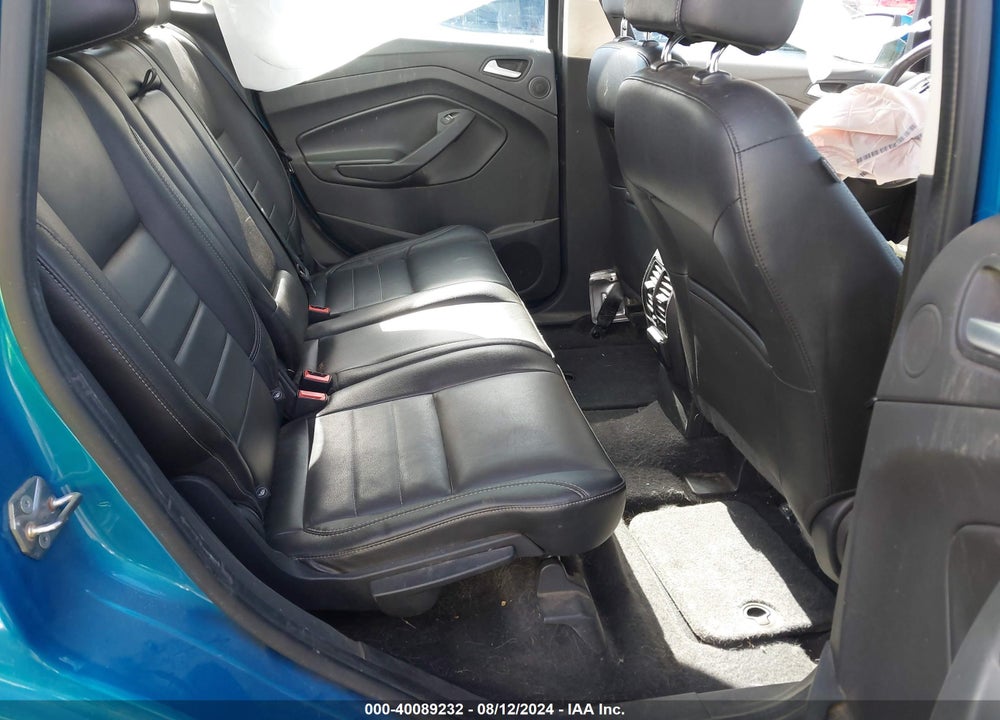 2015 FORD C-MAX ENERGI SEL VIN: 1FADP5CU3FL118663