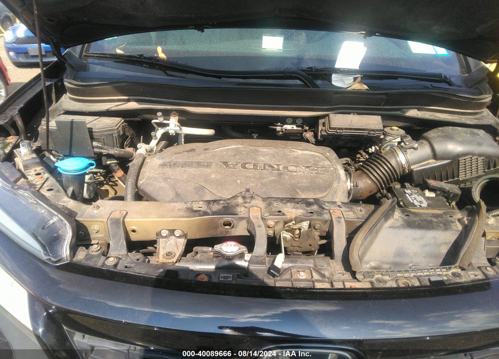 2019 HONDA PASSPORT ELITE VIN: 5FNYF8H08KB014639