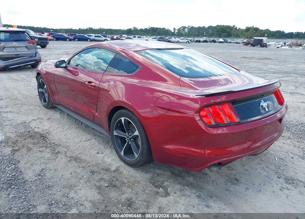 2017 FORD MUSTANG V6 VIN: 1FA6P8AM1H5358105