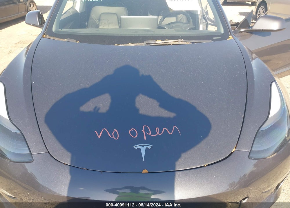 2023 TESLA MODEL 3 REAR-WHEEL DRIVE VIN: 5YJ3E1EA4PF435847