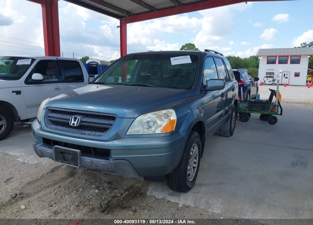 2005 HONDA PILOT EX-L VIN: 5FNYF18665B021007