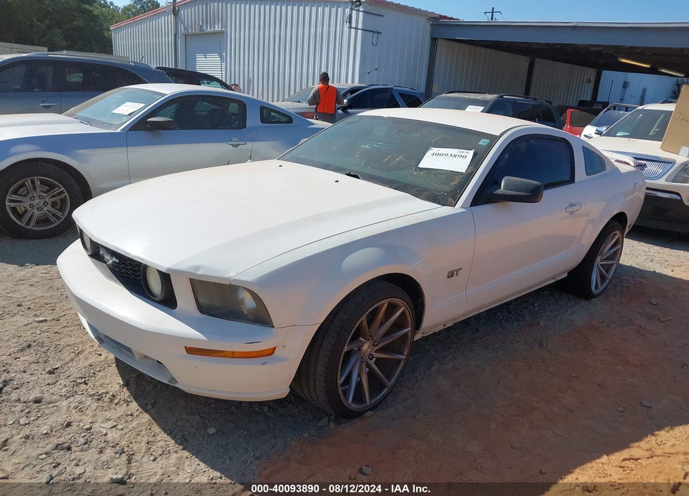 2006 FORD MUSTANG GT VIN: 1ZVFT82H665155941