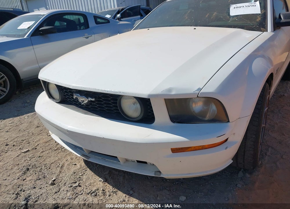 2006 FORD MUSTANG GT VIN: 1ZVFT82H665155941