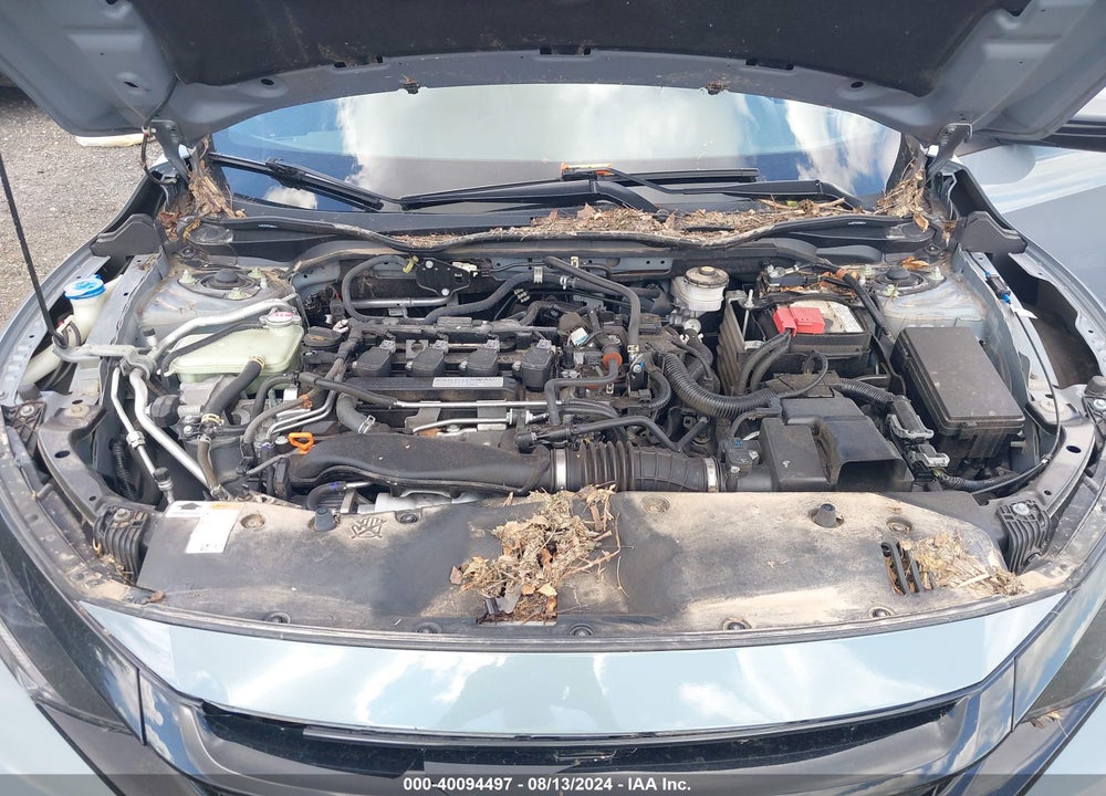 2020 HONDA CIVIC EX-L VIN: SHHFK7H81LU404811