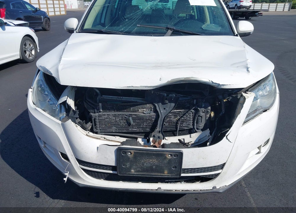 2010 VOLKSWAGEN TIGUAN SE VIN: WVGBV7AX9AW000295