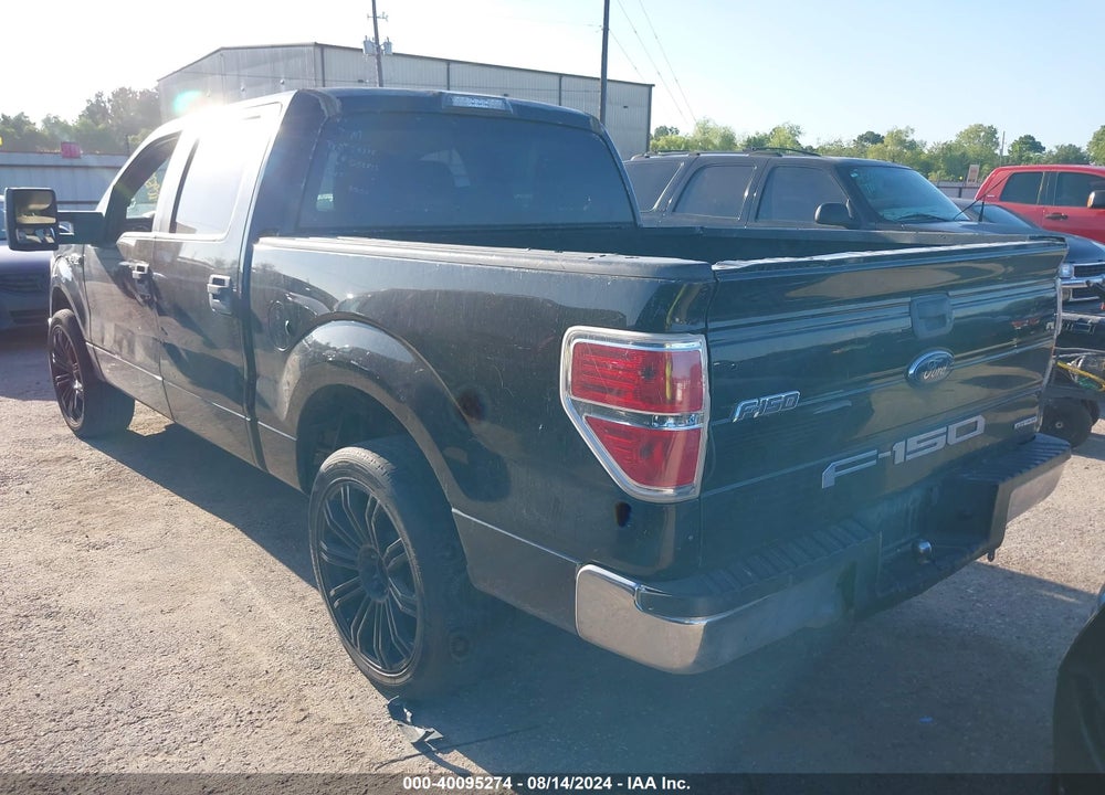 2013 FORD F-150 XLT VIN: 1FTEW1CM1DKG05812