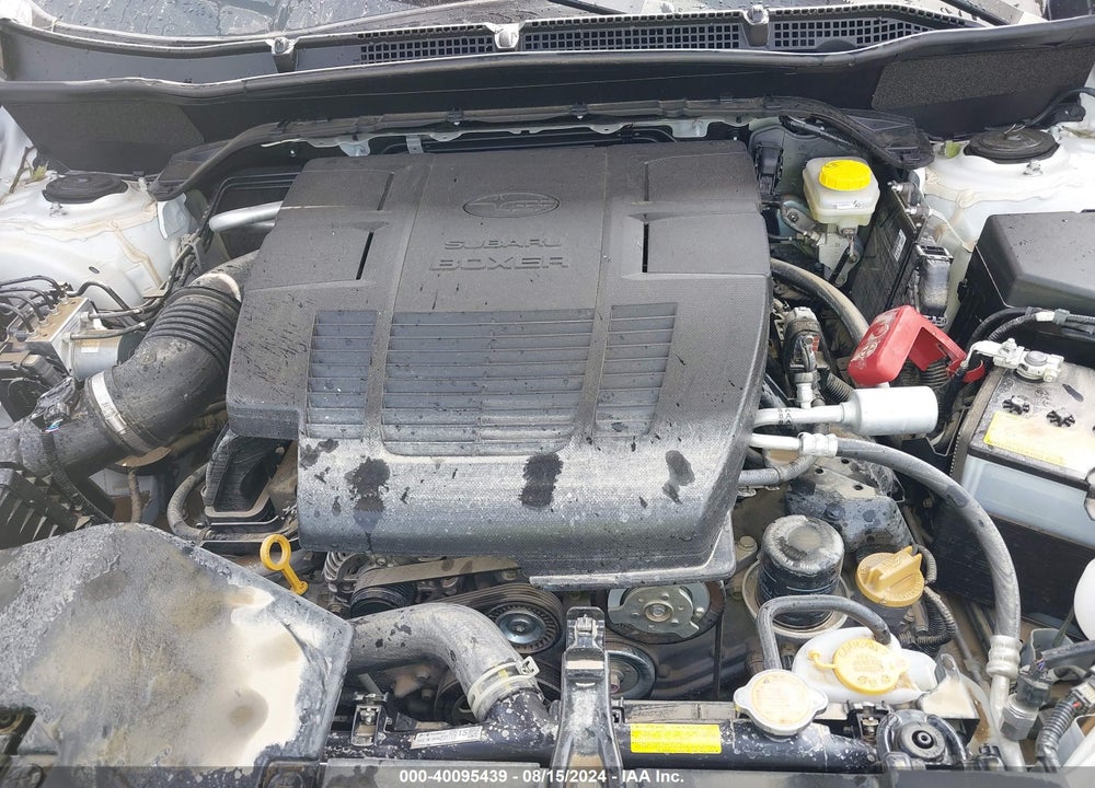 2024 SUBARU FORESTER WILDERNESS VIN: JF2SKAJC4RH451045