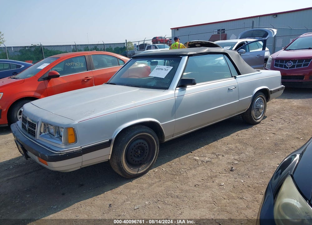 1986 DODGE 600 VIN: 1B3BV55D3GG259491