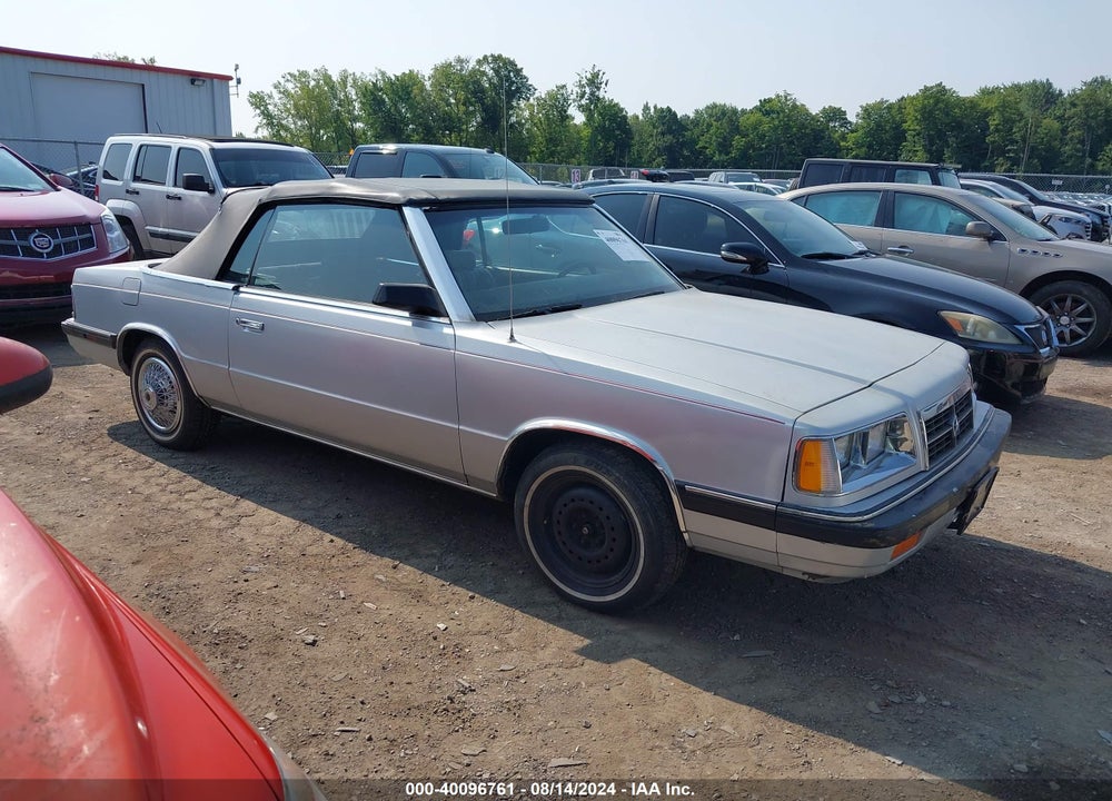 1986 DODGE 600 VIN: 1B3BV55D3GG259491