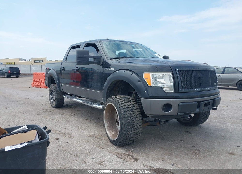2009 FORD F-150 VIN: 1FTPW14V29FA53530