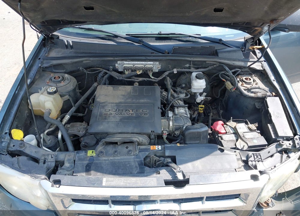 2010 FORD ESCAPE XLT VIN: 1FMCU9DG8AKC38533